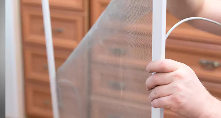 Privacy Mesh Screen Door Installation in Millbrae, CA