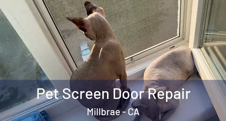  Pet Screen Door Repair Millbrae - CA