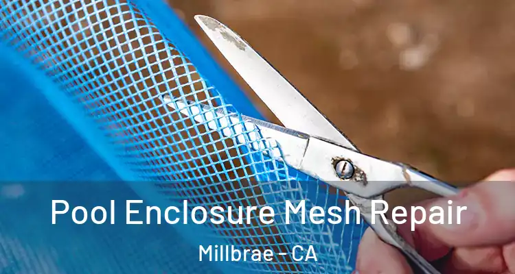  Pool Enclosure Mesh Repair Millbrae - CA