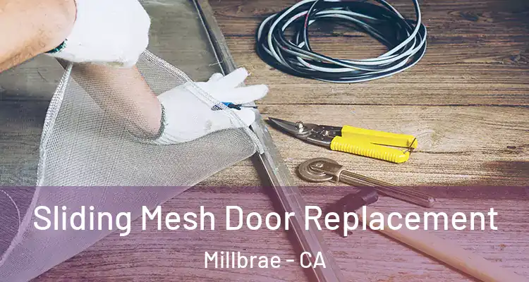 Sliding Mesh Door Replacement Millbrae - CA